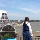 Y(와이)풀펜션 이미지