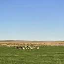 방길동마을 | 먼 곳,(아이슬란드 2)