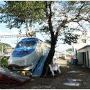 남산추어탕 이미지