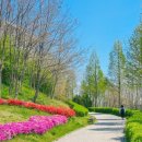 씨사이드파크 영종진 화장실 이미지