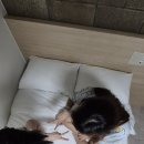 제이오 호스텔 동대문 이미지