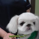 건국 동물병원 이미지