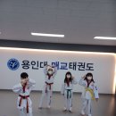 용인대 매교태권도장 이미지