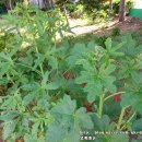 잿등공원 이미지