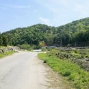 솔치농로 이미지