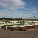 경재농장 이미지