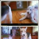 아라농장 이미지