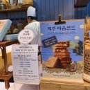 [제주도] 가족여행 4일차, 정산, 후기