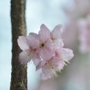 배화학교 이미지