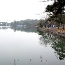 의림지솔밭가든 이미지