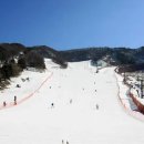 파인리조트 이미지