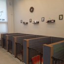 봉순이네 펫살롱 이미지