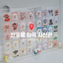 나인프로헤어 | [마곡 사진관 추천] 인포룸 스튜디오에서 반려견 가족사진(개족사진) 촬영 솔직 후기.