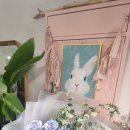 화랑대역6번출구 이미지