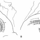 수경희한의원 이미지