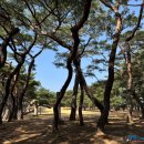 흥덕왕릉 화장실 이미지