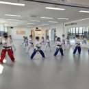 강동MTA태권도장 이미지