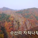 수산리-15 이미지