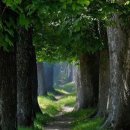 광주무등교회 이미지