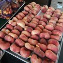 스프링팜코리아 이미지