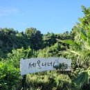 세오니네 | 제주 동쪽 펜션 성산일출봉 근처 숙소 세오니네 민박