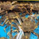 와라횟집 이미지