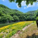 유곡면 운동장 | [의령] 당일치기 10,000원 캠핑장 '유곡면민 체육 운동장 야영장' 후기