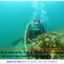 인구 리조트 이미지