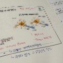 [PT] 닥터보더스쿨 레벨 2 / Dr.Vodder MLD Level 2 교육 후기 + 시험 후기