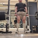 등운동: 데드리프트 220kg×2, 바벨로우 100kg, 뉴트럴그립 랫풀다운 96kg 이미지