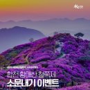 합천군청 네이버블로그