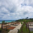 곽지몬스터캠핑 이미지