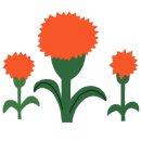 큰나래유치원 이미지