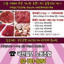 한겨레치과의원 | 뉴욕타임즈 169회 2부 - 광우병 소의 수입을 중단하는 방법.. 그리고 하어영 기자의 고별 방송..??