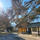 영주향교 대성전 | 경북 청도향교 한 바퀴 조용한 힐링 산책 코스