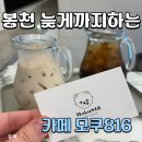 서울대입구, 봉천 늦게까지 하는 카페! 반려동물 동반 가능! '모쿠816'