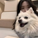 아인동물의료센터 이미지