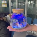 숭의과학기술고등학교 | 숭의과학기술고등학교_스칸디아모스 테라리움 무드등_단체수업_출강 후기