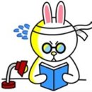 비타나무