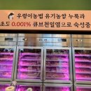 담가 구리점