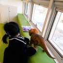 한빛소아과의원 이미지