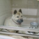 서교초교 이미지