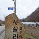 상월리경로당 Daum카페