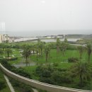 도라지식당 이미지