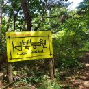고석농장 Daum카페