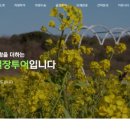 친절한송실장투어(힐링앤제주) 이미지