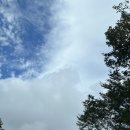 화북신안 이미지