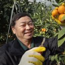 남원읍-73 이미지