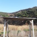 바담채 민박 이미지