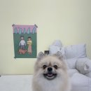 도루몽실 이미지